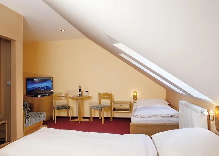 Wellness Marlin Hotel Nová Pec