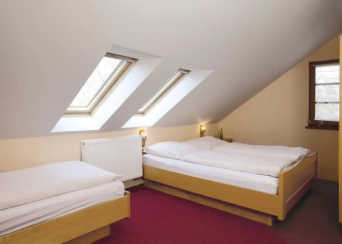 Wellness Marlin Hotel Nová Pec